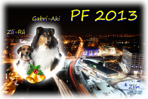 pf2013_2.png
